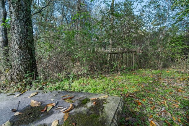 1045 Emerald Way, Castalian Springs, TN 37031