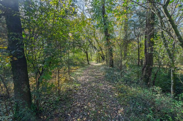 1045 Emerald Way, Castalian Springs, TN 37031