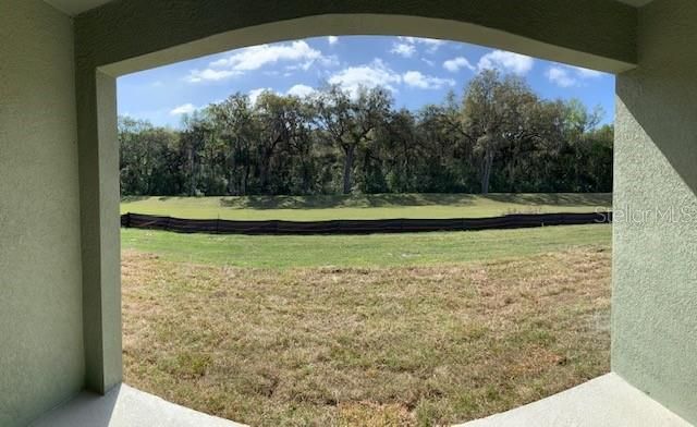 20007 ROYAL TERN COURT, Leesburg, FL 34748
