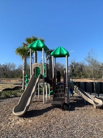 20007 ROYAL TERN COURT, Leesburg, FL 34748
