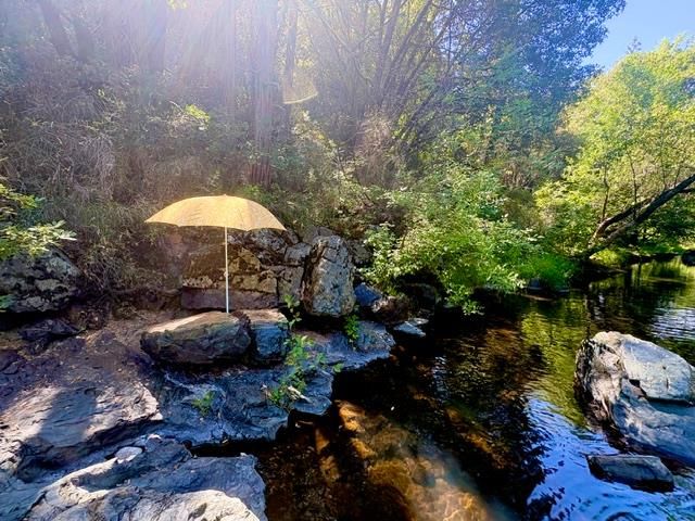 17500 Winding Oaks Rd, Grass Valley, CA 95949
