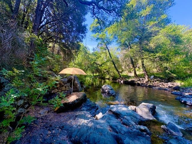 17500 Winding Oaks Rd, Grass Valley, CA 95949