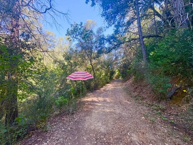 17500 Winding Oaks Rd, Grass Valley, CA 95949