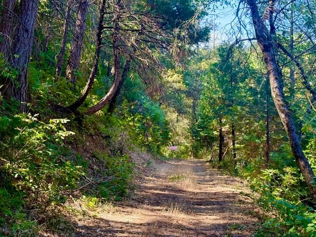 17500 Winding Oaks Rd, Grass Valley, CA 95949