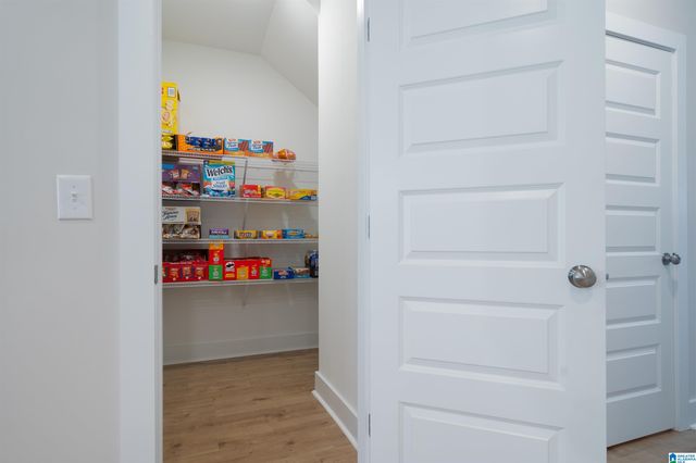 22105 COVE LANE, Woodstock, AL 35111