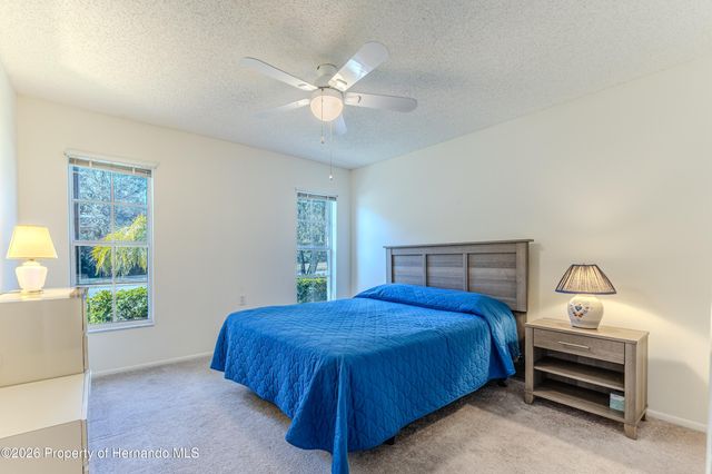 7437 Nature Walk Drive, Spring Hill, FL 34606