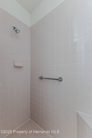 7437 Nature Walk Drive, Spring Hill, FL 34606