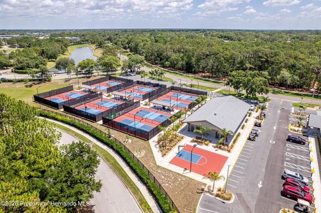 7437 Nature Walk Drive, Spring Hill, FL 34606