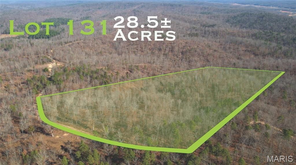 131 Madison CR 411, Fredericktown, MO 63645