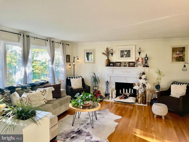 1036 CARPER ST, Mclean, VA 22101