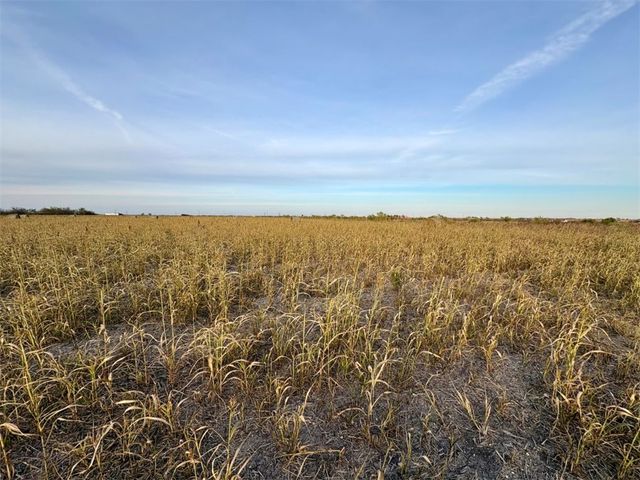 366 County Road 123, Other, TX 76518