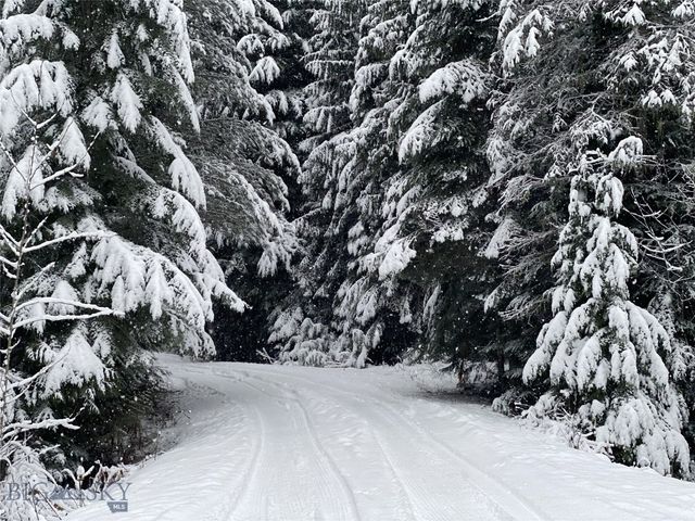 189 Blue Creek Road, Heron, MT 59844