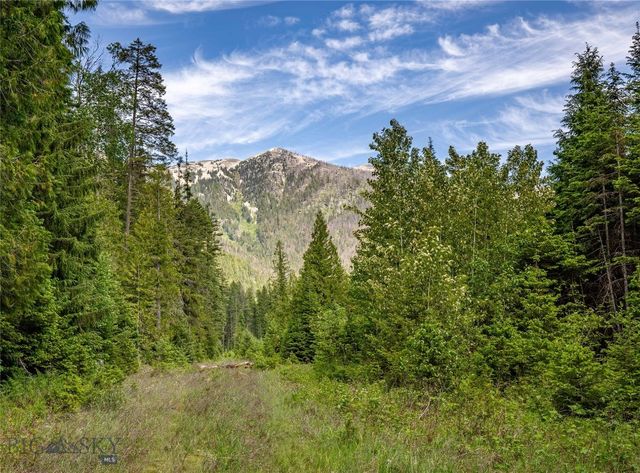 189 Blue Creek Road, Heron, MT 59844