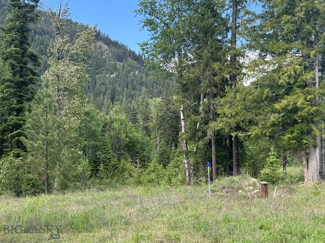 189 Blue Creek Road, Heron, MT 59844
