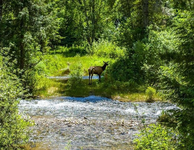 189 Blue Creek Road, Heron, MT 59844