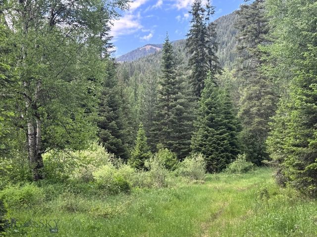 189 Blue Creek Road, Heron, MT 59844