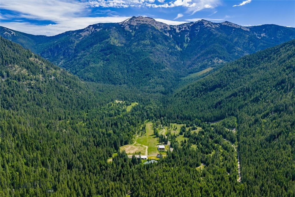 189 Blue Creek Road, Heron, MT 59844 photo 2