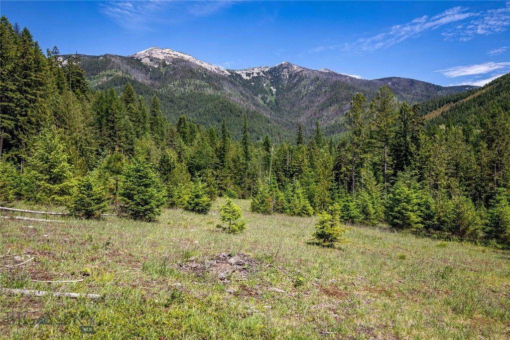 189 Blue Creek Road, Heron, MT 59844 photo 85