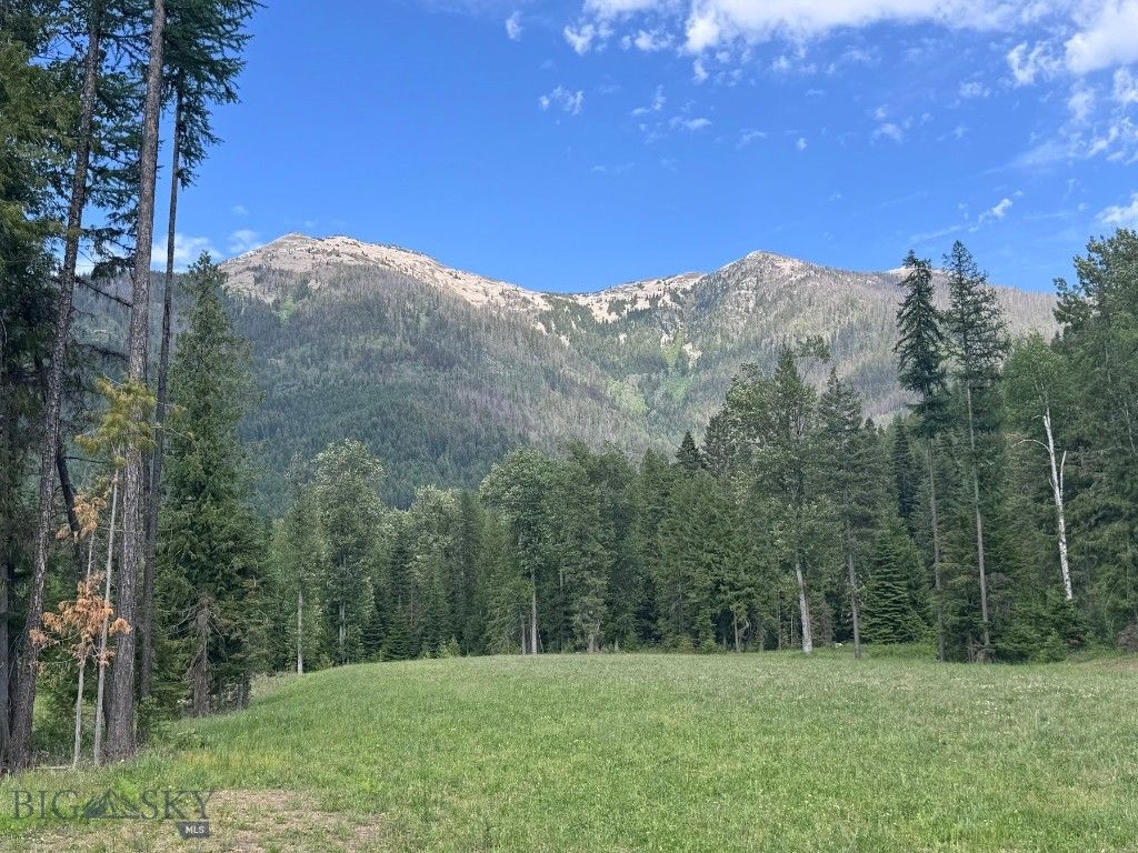 189 Blue Creek Road, Heron, MT 59844 photo 88