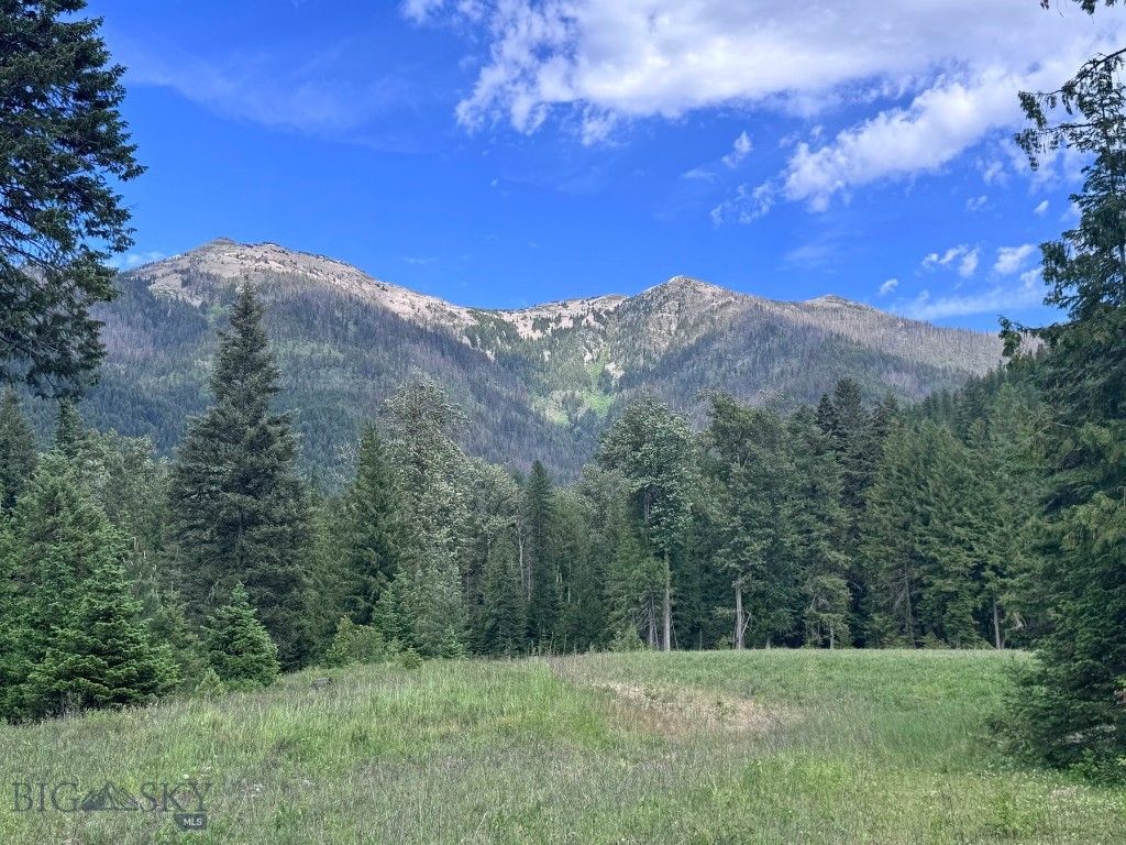 189 Blue Creek Road, Heron, MT 59844 photo 89