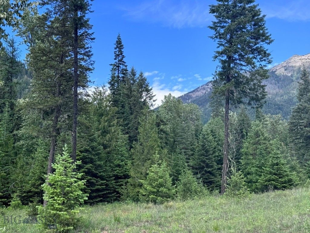 189 Blue Creek Road, Heron, MT 59844 photo 91