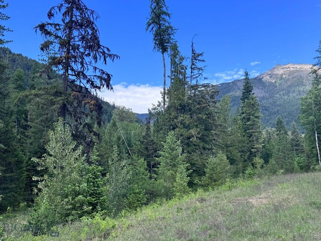 189 Blue Creek Road, Heron, MT 59844 photo 92