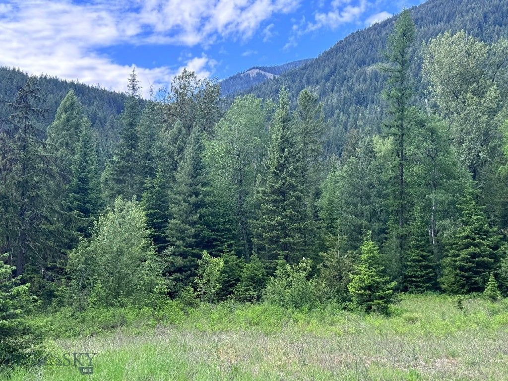 189 Blue Creek Road, Heron, MT 59844 photo 93