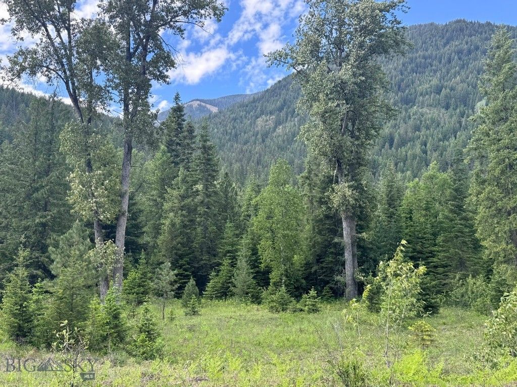 189 Blue Creek Road, Heron, MT 59844 photo 94