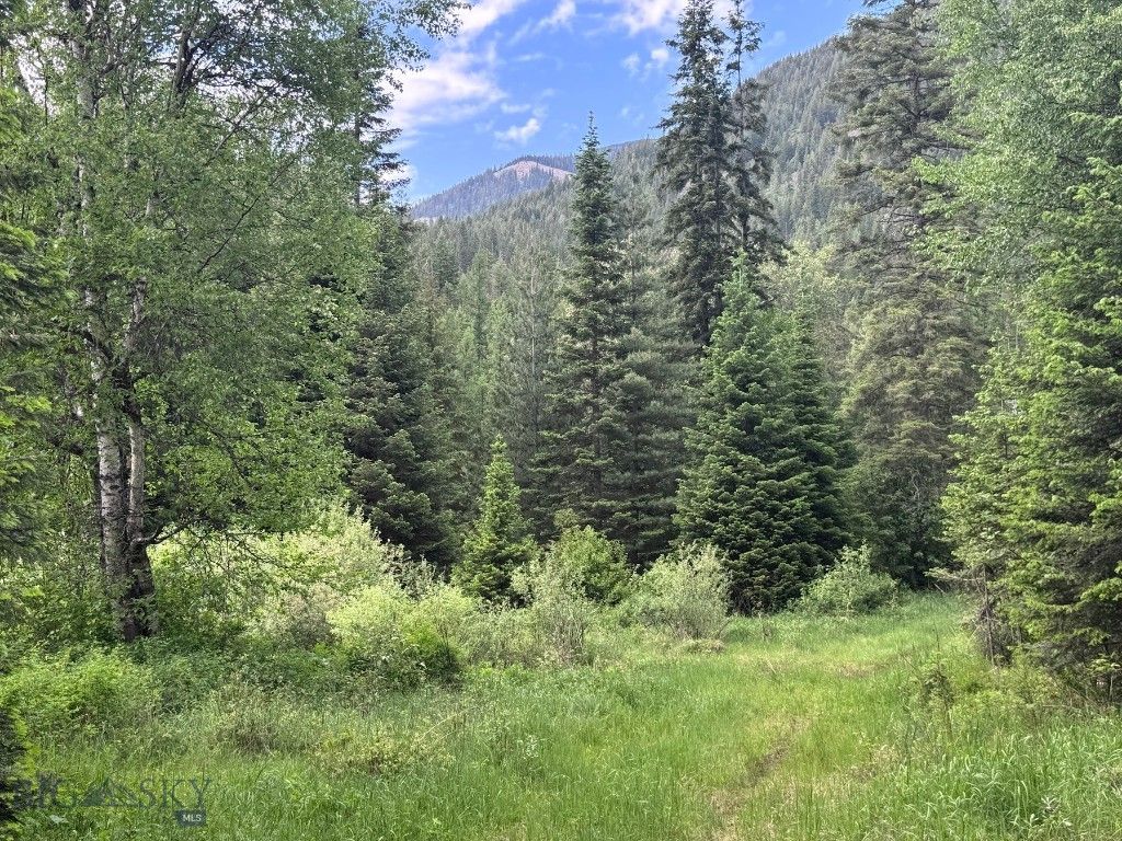 189 Blue Creek Road, Heron, MT 59844 photo 95