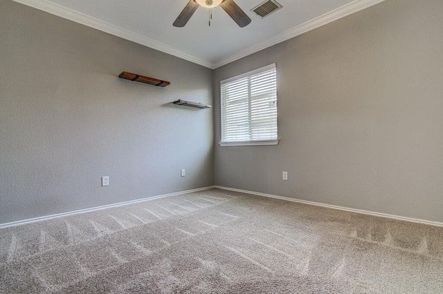 3408 Campanella DR, Round Rock, TX 78665
