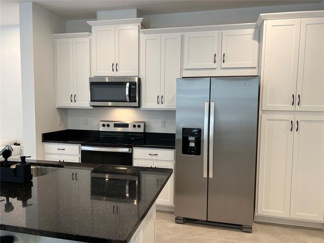 9055 BEACH TEA WAY, Kissimmee, FL 34747