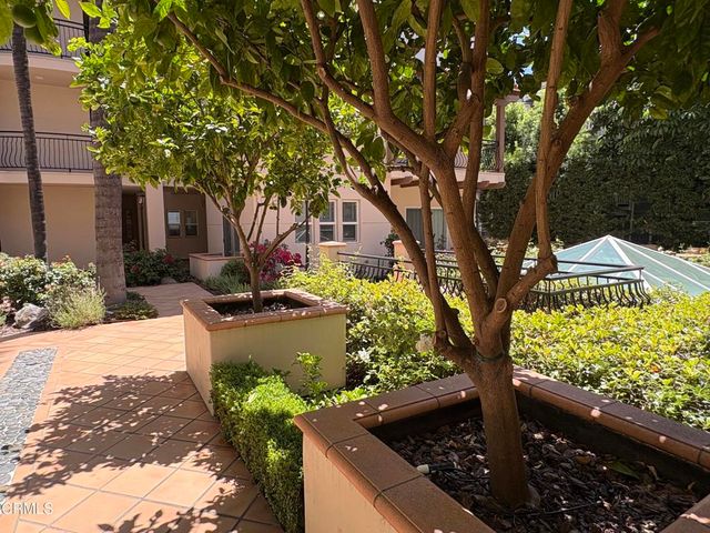 216 S Madison Avenue 105, Pasadena, CA 91101