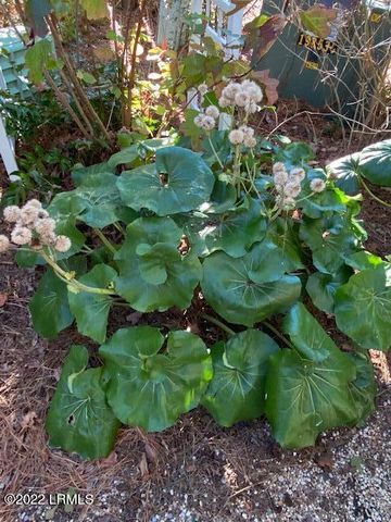 714 N Reeve Road, St. Helena Island, SC 29920