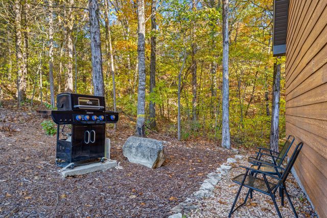 217 Baldknobber Drive 30, Branson West, MO 65737