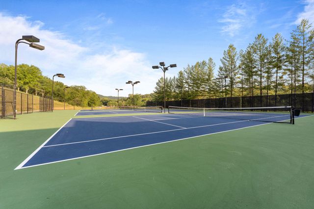 217 Baldknobber Drive 30, Branson West, MO 65737