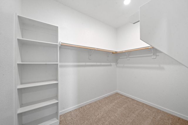 349 Tejas Trail, Waller, TX 77484