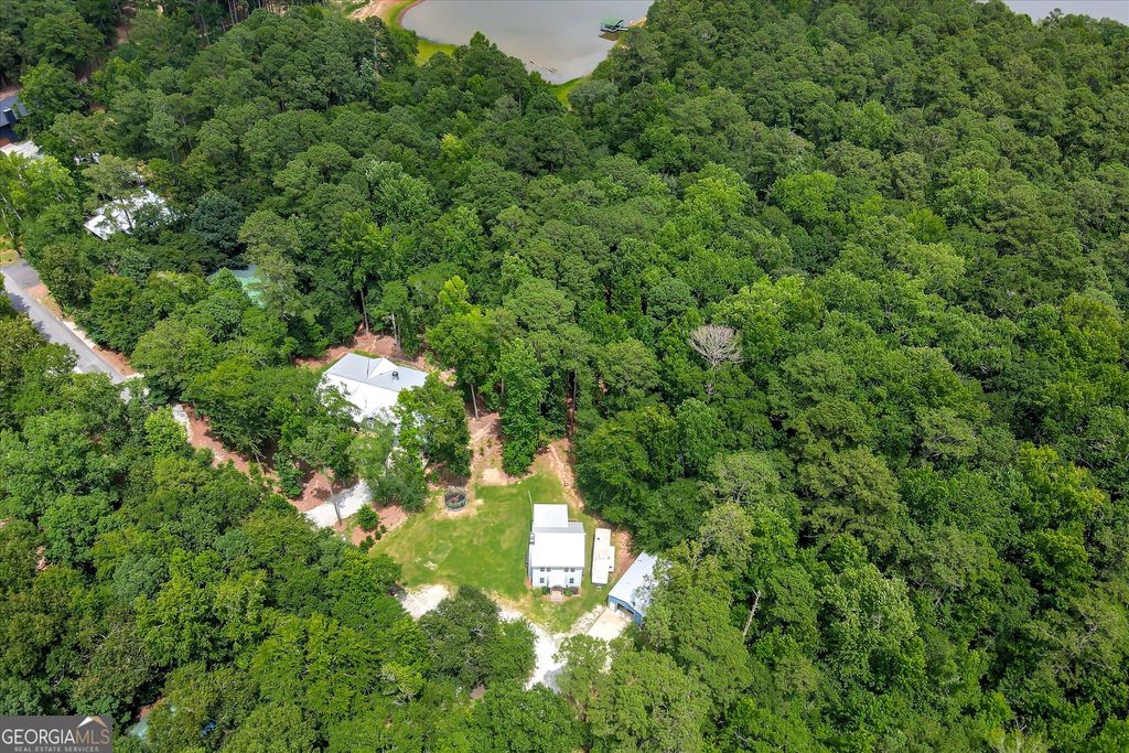 1697 Broad River Scenic Drive, Tignall, GA 30668 — photo 5