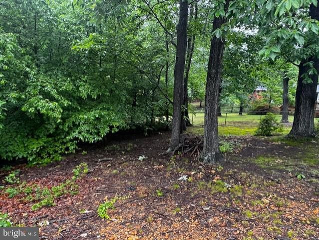 7041 CINDY LN, Annandale, VA 22003