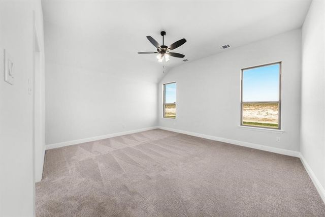 124 Lila Lake Drive, Waxahachie, TX 75165