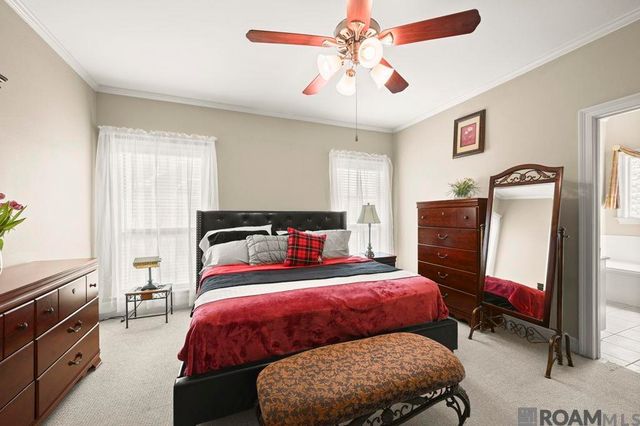 12389 Old Mill Dr, Geismar, LA 70734