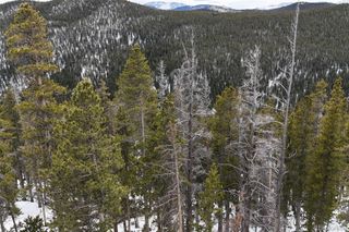 156 Vista Road, Idaho Springs, CO 80452