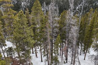 156 Vista Road, Idaho Springs, CO 80452