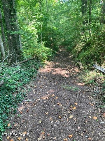 540 Henderson Rd 137, Pigeon Forge, TN 37863