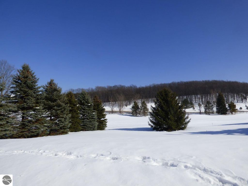 Image 25 of property listing at Unit 37 Golf Meadows Drive, Bellaire, MI 49615