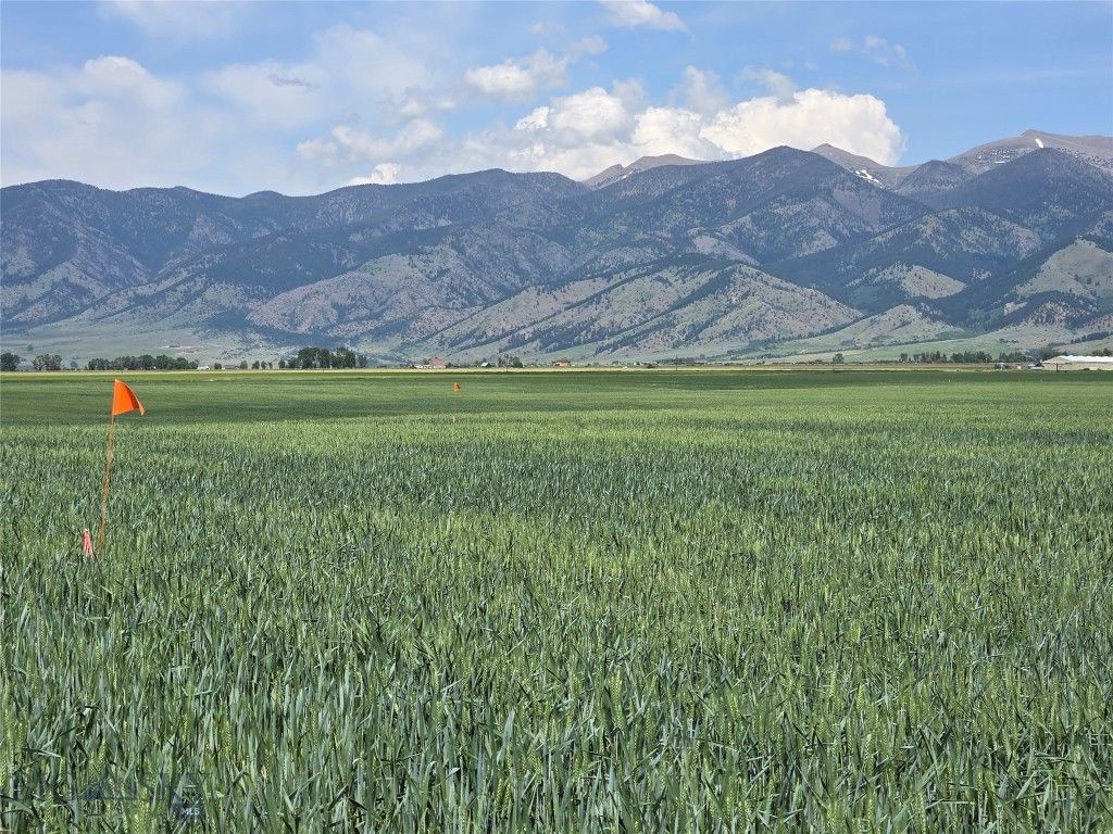 4468 Wes Davis Road, Belgrade, MT 59714 photo 10