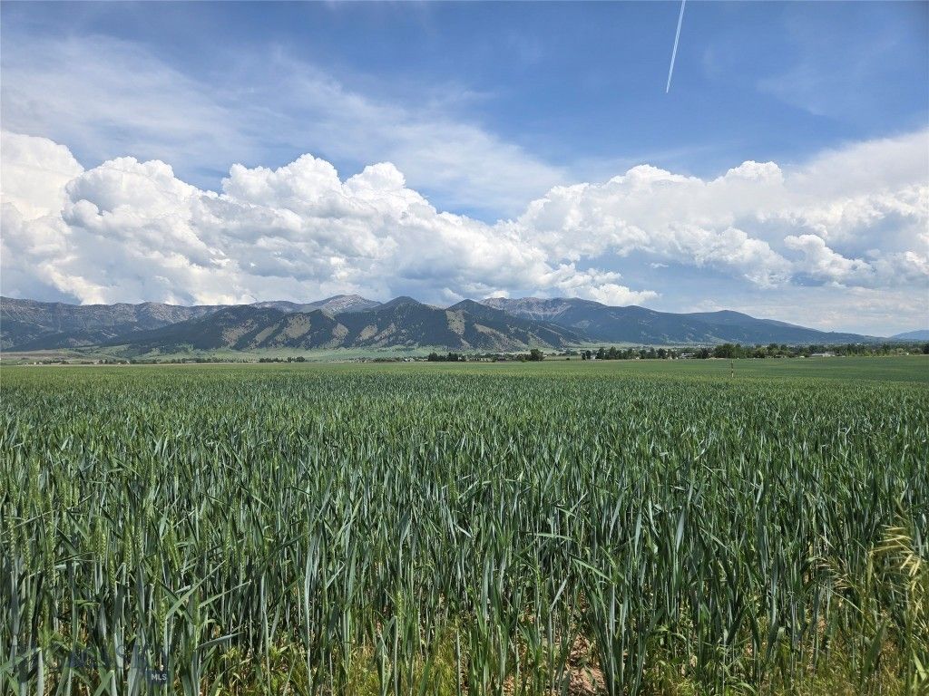 4468 Wes Davis Road, Belgrade, MT 59714 photo 18