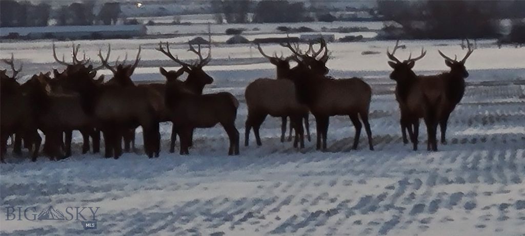 4468 Wes Davis Road, Belgrade, MT 59714 photo 20