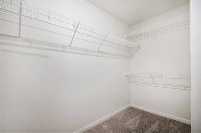 313 Riverdale DR, Jarrell, TX 76537