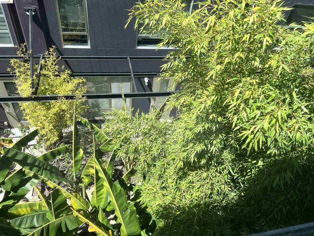 1253 Pine St, Oakland, CA 94607