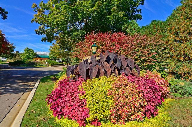 5325 Wooddale Avenue, Edina, MN 55424